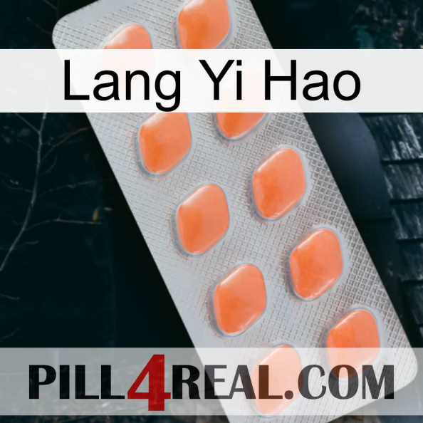 Lang Yi Hao 26.jpg